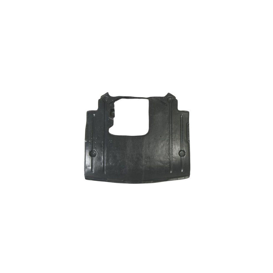 Blic 6601-02-3526864P Engine Cover