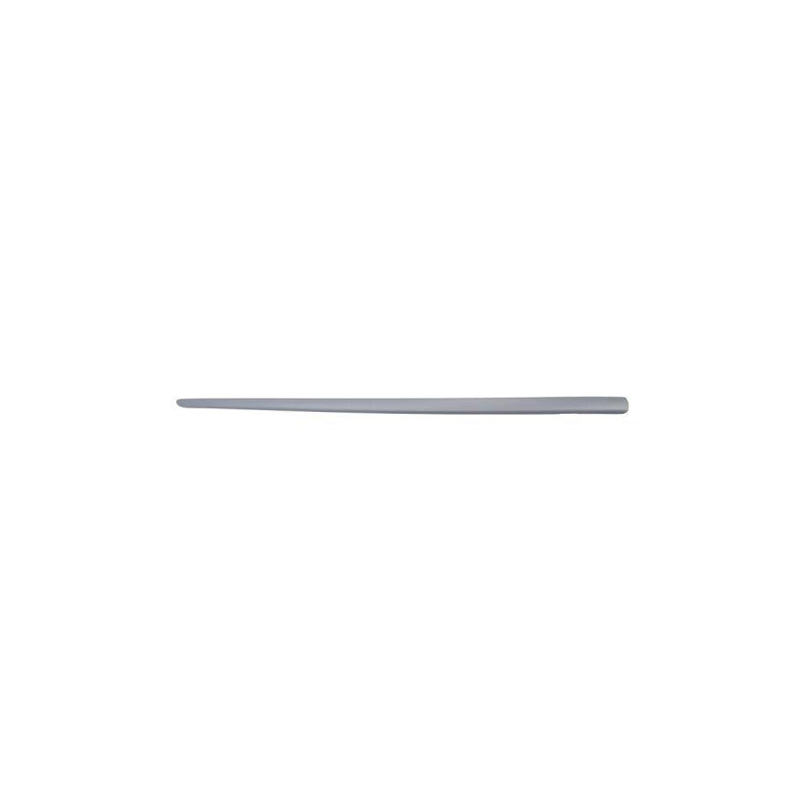 Blic 5703-04-2023575Pp Door Molding for Fiat Punto II Hatchback (188)