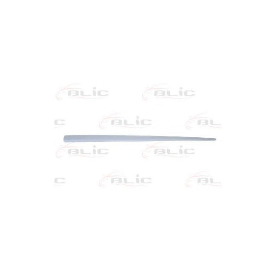 Blic 5703-04-2023562Pp Door Molding for Fiat Punto II Hatchback (188)