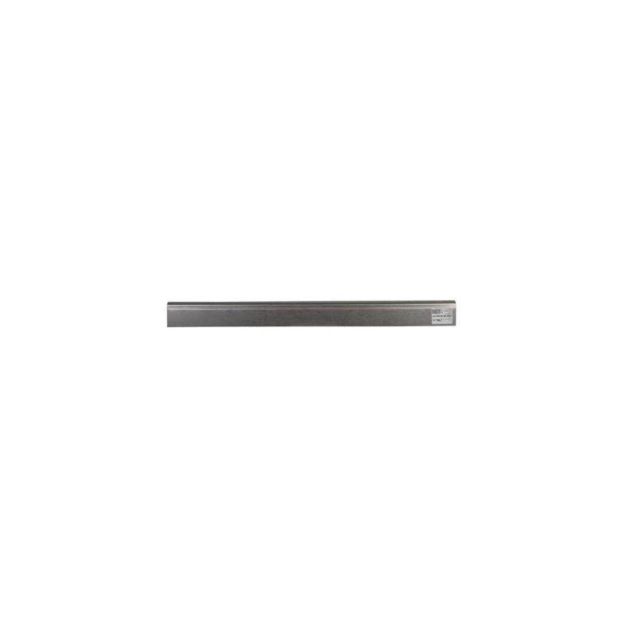 Blic 6505-06-9568015P Rocker Panel