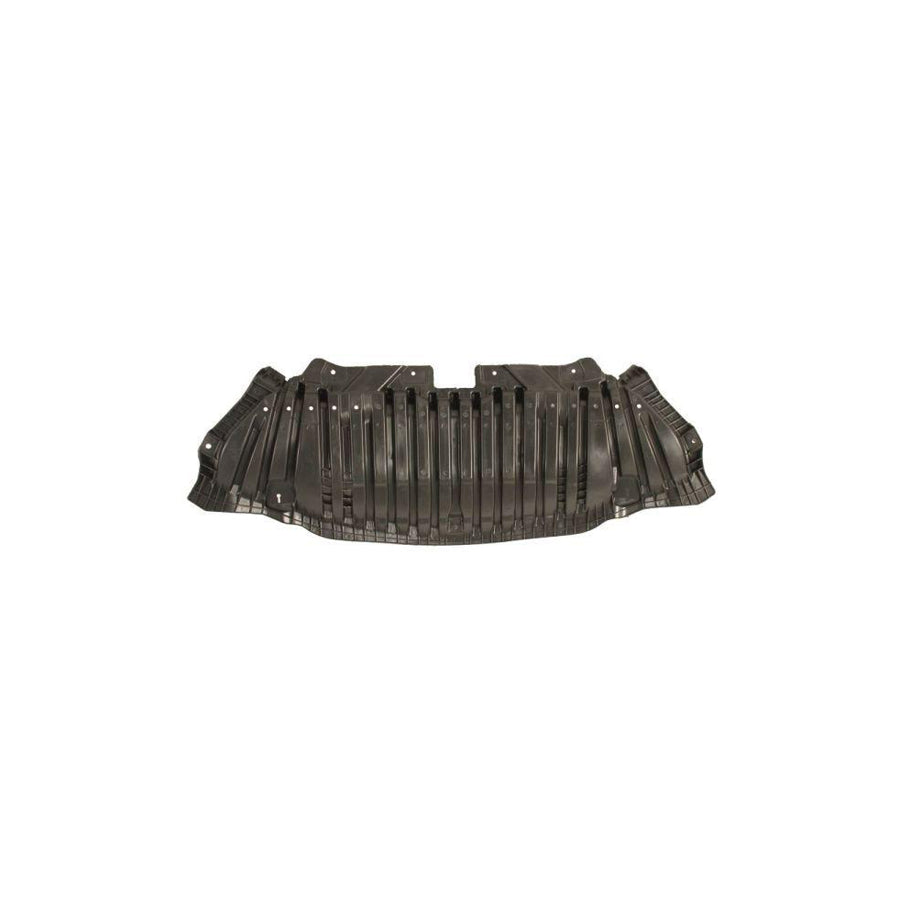 Blic 6601-02-3521862P Engine Cover Suitable for Mercedes-Benz C-Class