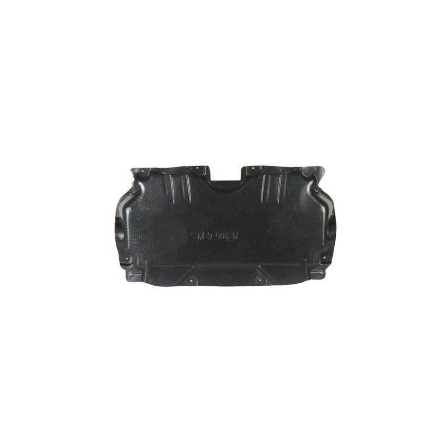 Blic 6601-02-3521860P Engine Cover Suitable for Mercedes-Benz C-Class