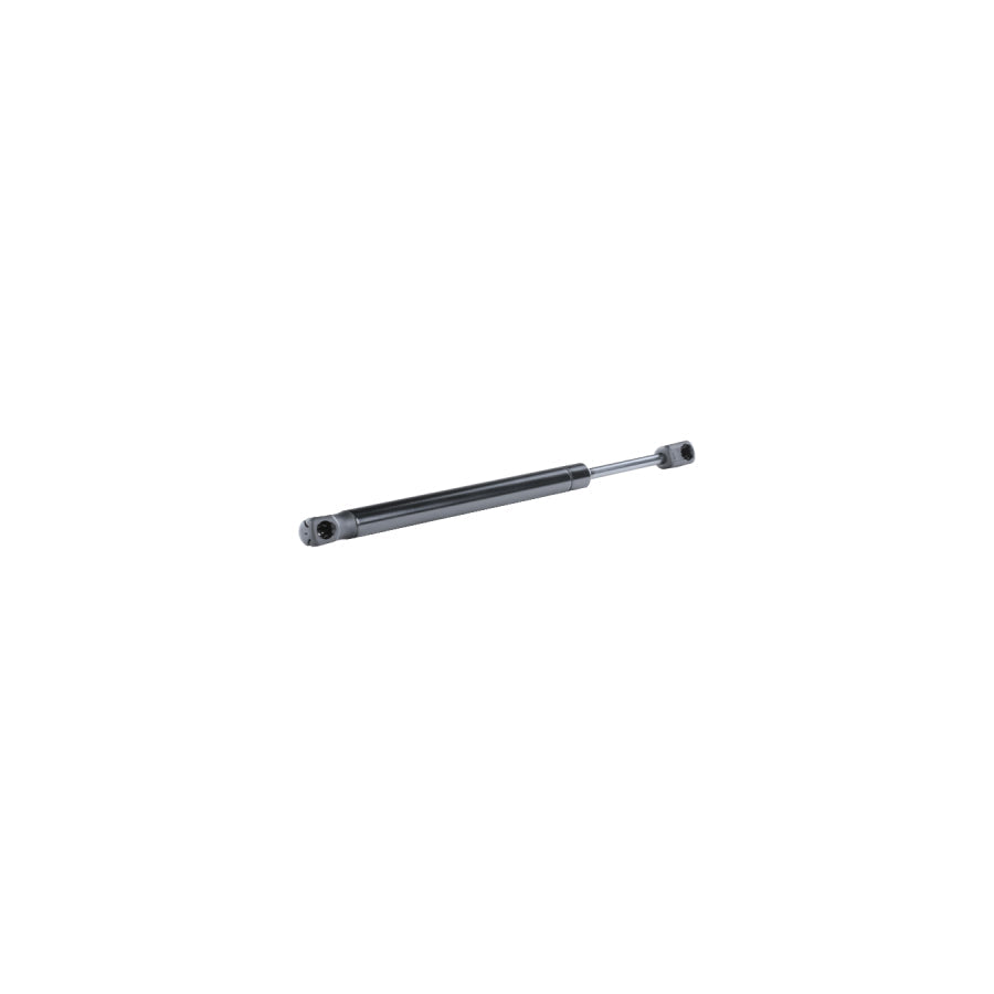 BUGIAD Bgs10594 Tailgate Strut