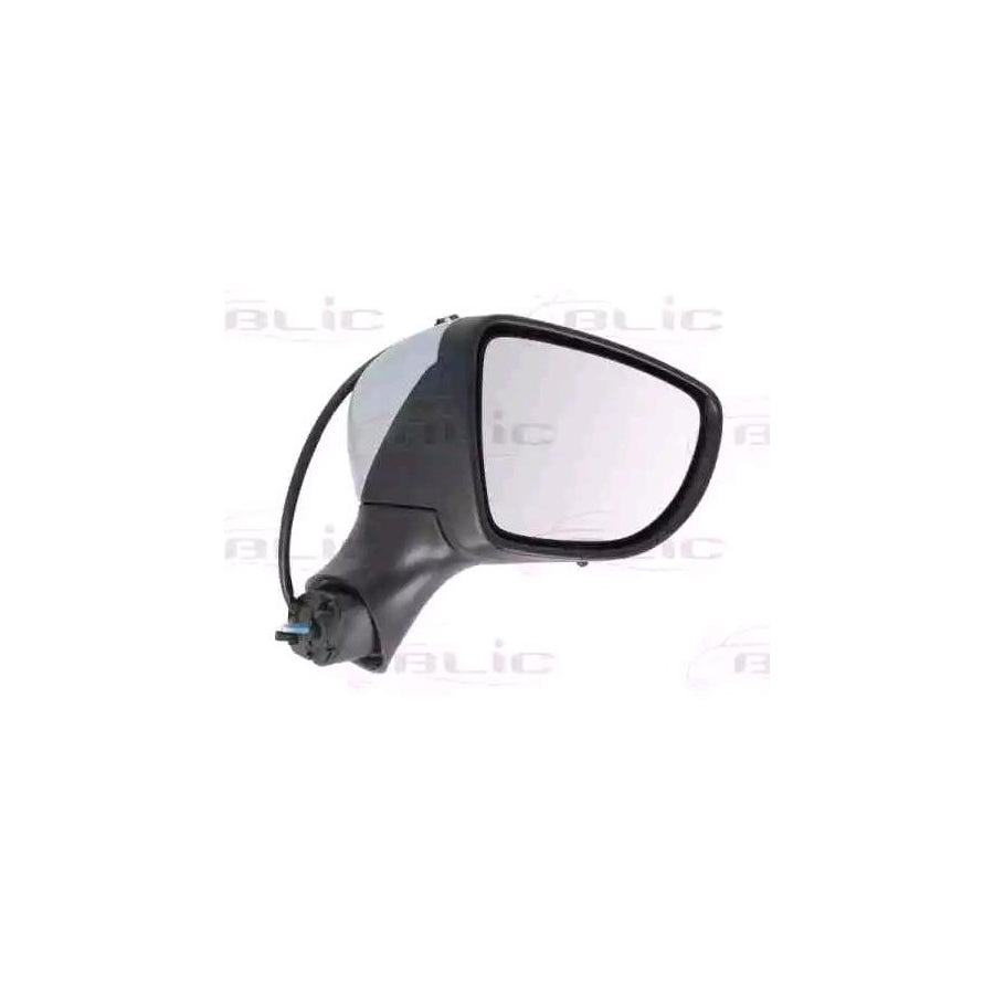 Blic 5402-09-2002132P Wing Mirror for Renault Clio