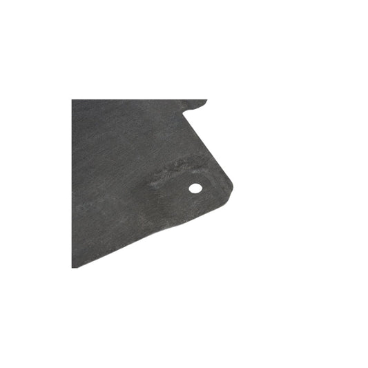 Genuine BMW 51757441886 G29 Underfloor Coating Center (Inc. Z4 30i, Z4 M40i & Z4 20i)