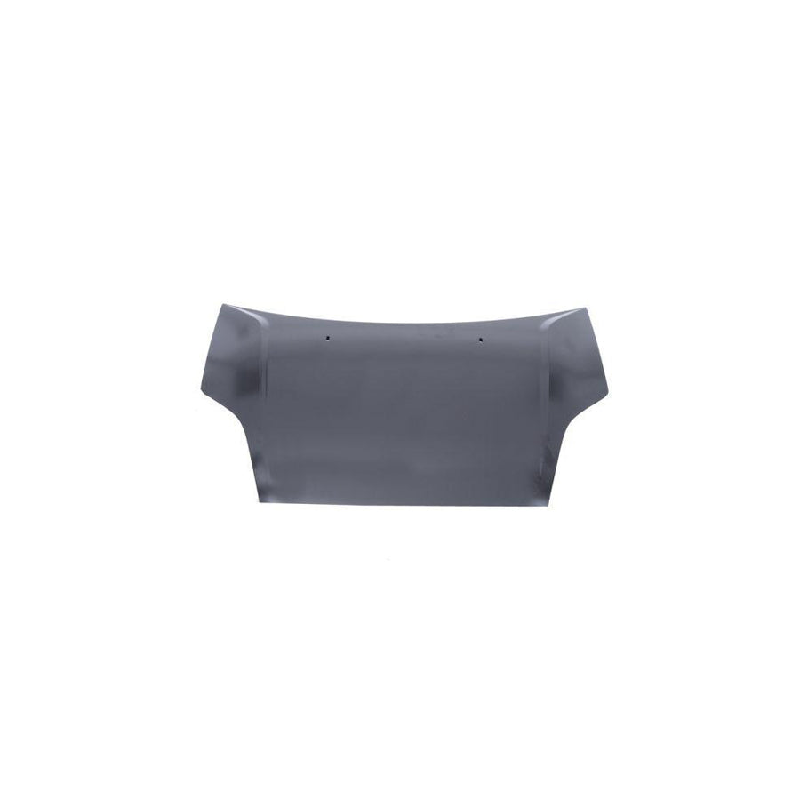 Blic 6803-00-2564280Q Bonnet for Ford Fiesta
