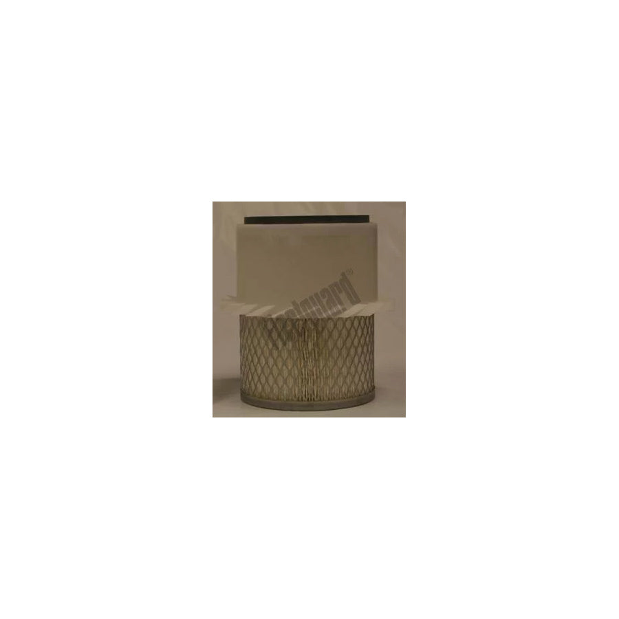 Fleetguard Af25385K Air Filter for Daihatsu Fourtrak