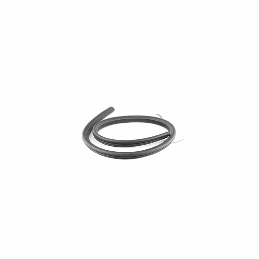 Genuine BMW 51767176599 E64 Seal, Door SCHWARZ (Inc. 645Ci, 630i & M6)