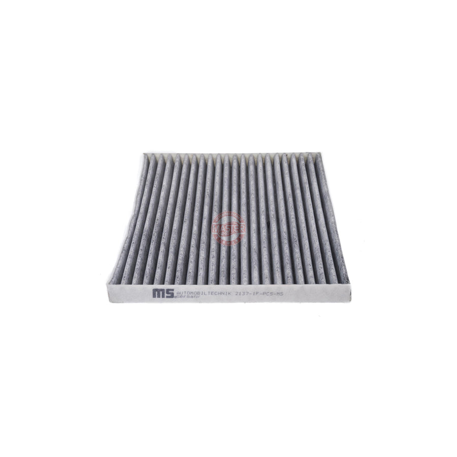 Master Sport 2137-IF-PCS-MS Pollen Filter