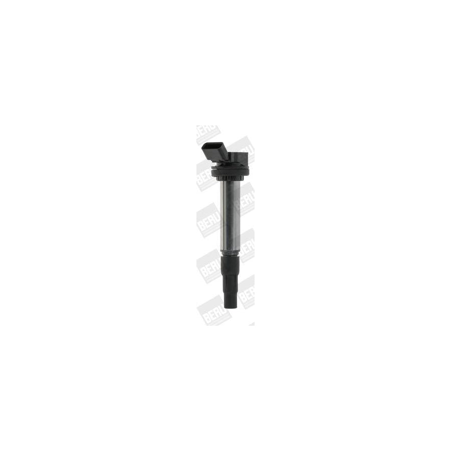 Beru Le580 Fan, Radiator for Peugeot 206