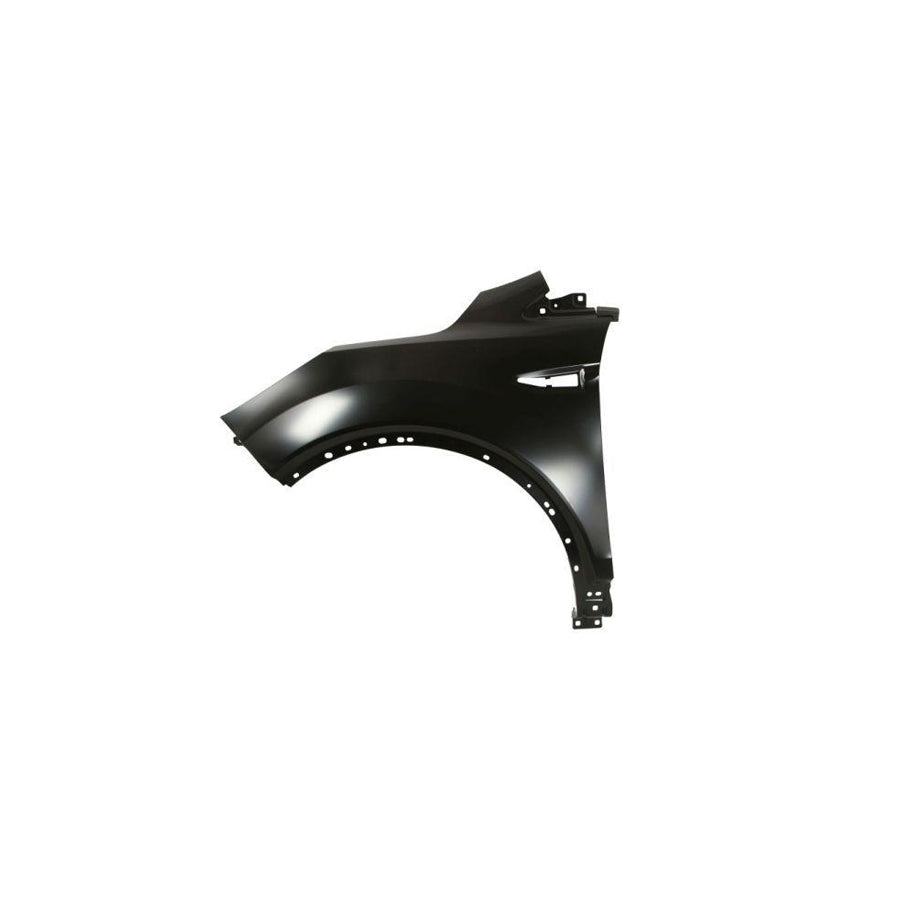 Blic 6504-04-2579313P Wing Fender for Ford Kuga Mk2 (Dm2)