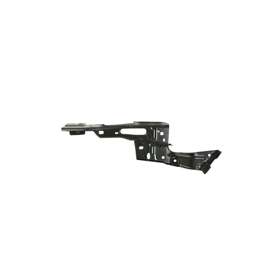 Blic 6504-02-2596412P Holder, Mudguard for Ford Kuga Mk3