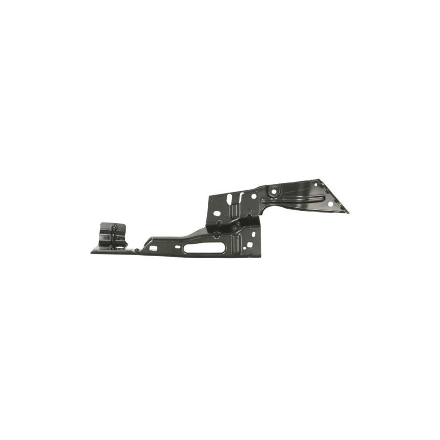 Blic 6504-02-2596411P Holder, Mudguard for Ford Kuga Mk3