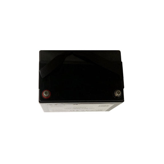 Ultramax Lithium 36AMP LiFePO4 Battery