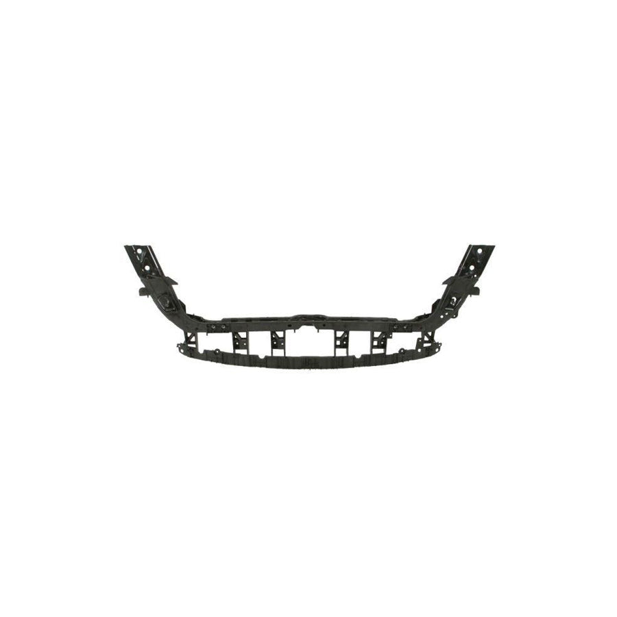 Blic 6502-08-2586200P Front Cowling for Ford USA Mustang