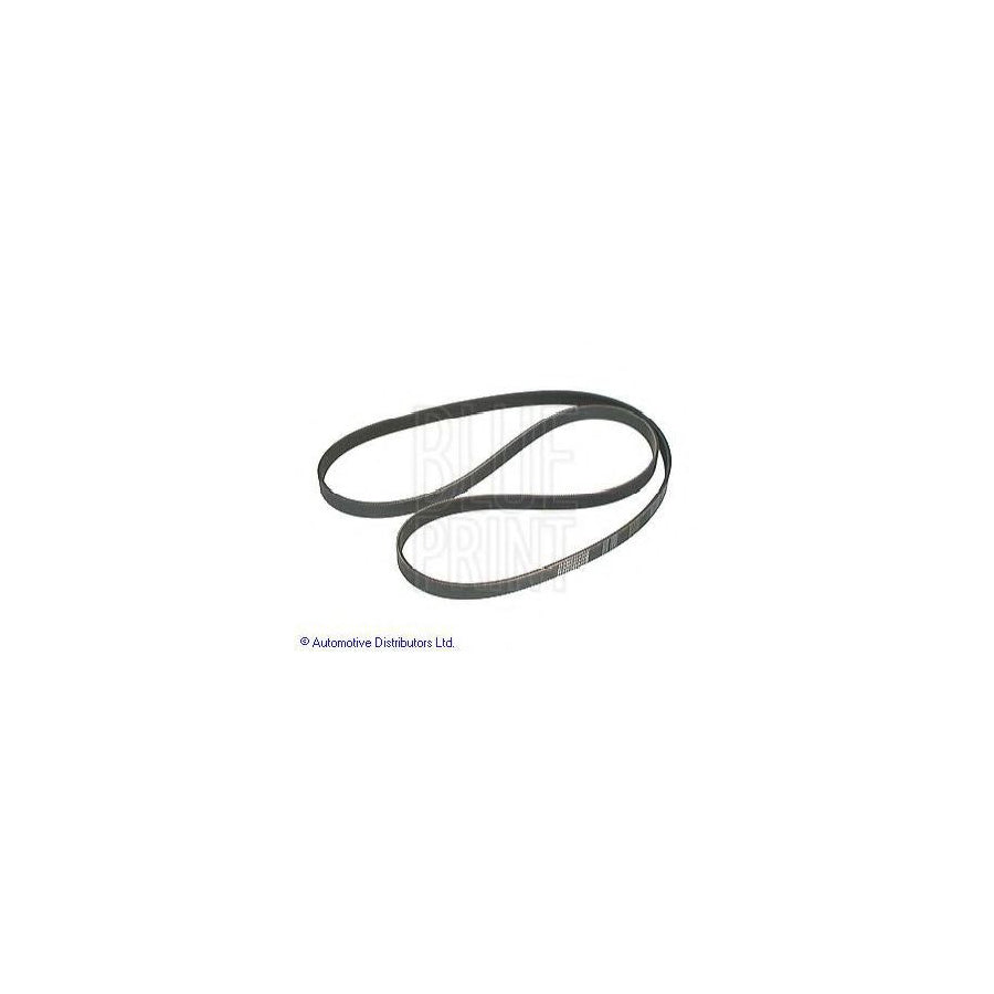 Blue Print Adt39631 V-Ribbed Belt