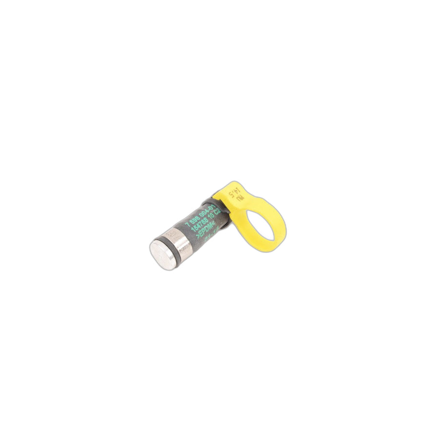 Genuine BMW 17127598004 E70 E72 Cap (Inc. X5 3.0si & Hybrid X6)