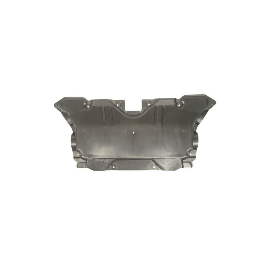 Blic 6601-02-3531862P Engine Cover Suitable for Mercedes-Benz E-Class