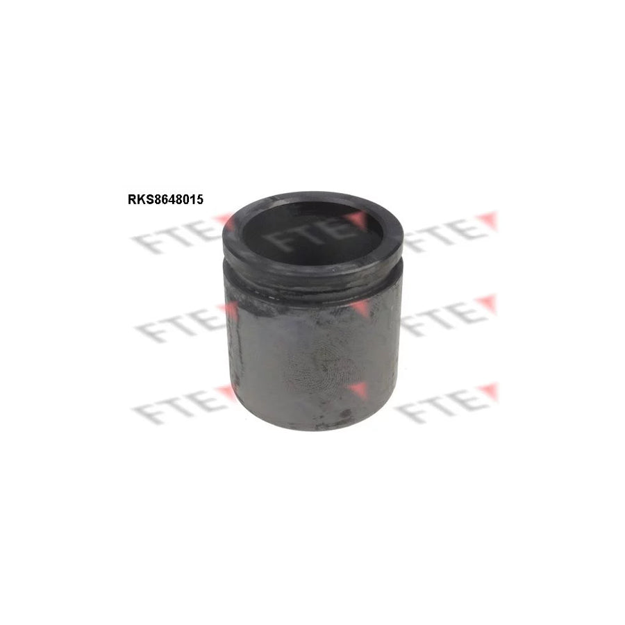 FTE 9313448 Piston, Brake Caliper