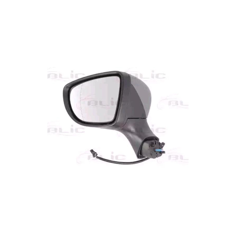 Blic 5402-09-2002127P Wing Mirror for Renault Clio