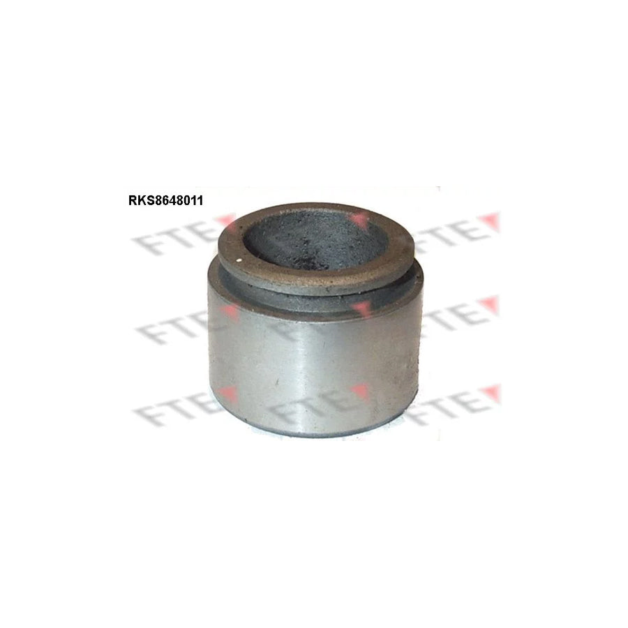 FTE 9313447 Piston, Brake Caliper
