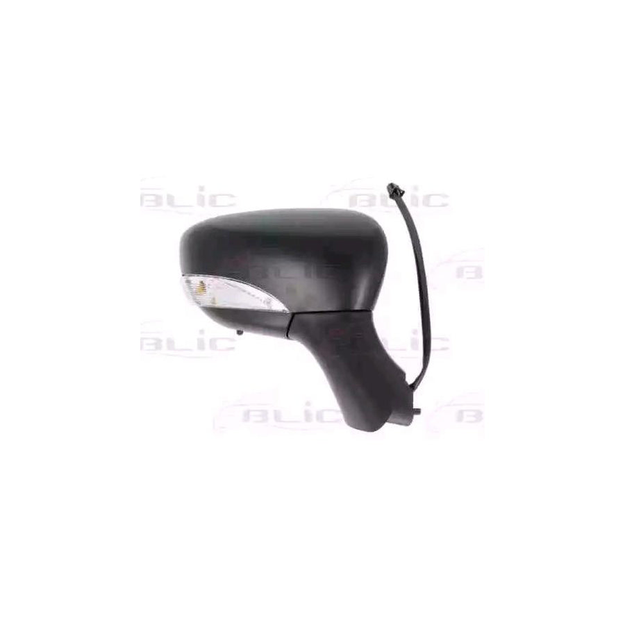 Blic 5402-09-2002126P Wing Mirror for Renault Clio