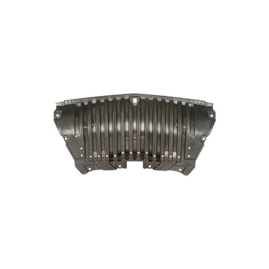 Blic 6601-02-3531861P Engine Cover Suitable for Mercedes-Benz E-Class