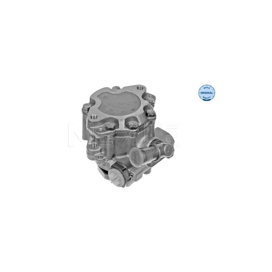 Meyle 114 631 0014 Power Steering Pump For VW Lt
