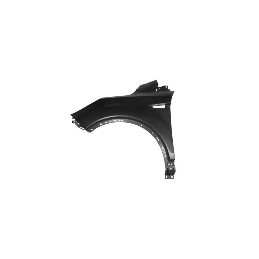 Blic 6504-04-2579311P Wing Fender for Ford Kuga Mk2 (Dm2)