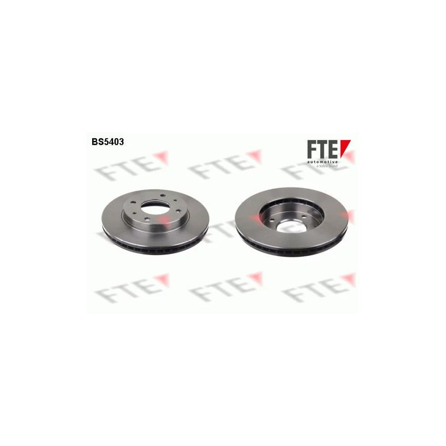 FTE 9072313 Brake Disc