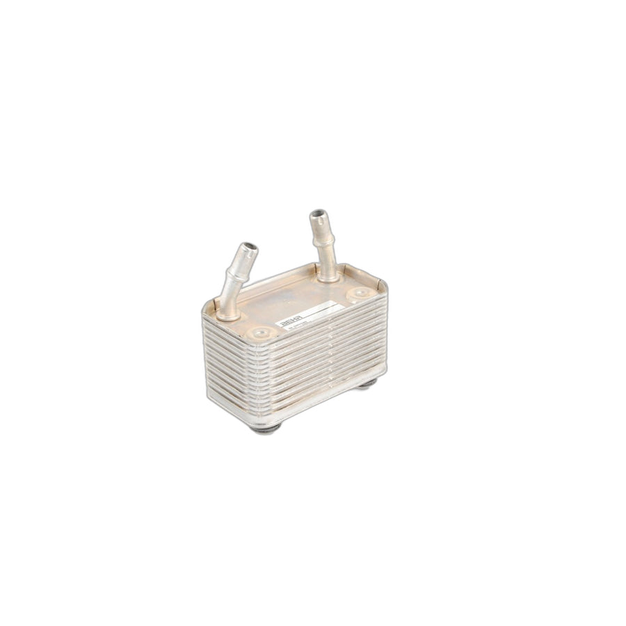 Genuine BMW 17207500754 E53 Heat Exchanger (Inc. X5)