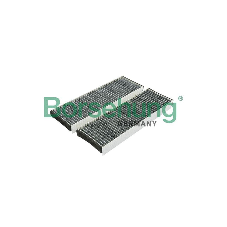Borsehung B12802 Pollen Filter for Audi A6