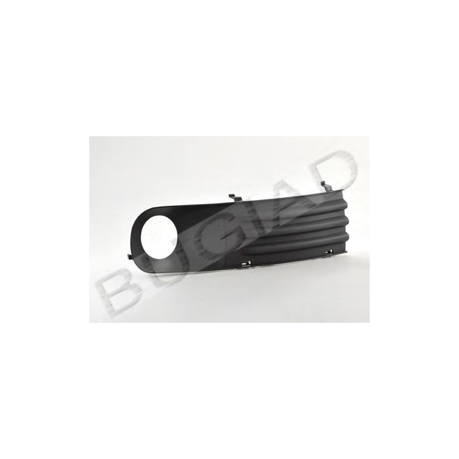 BUGIAD Bsp20670 Bumper Grill for VW Transporter