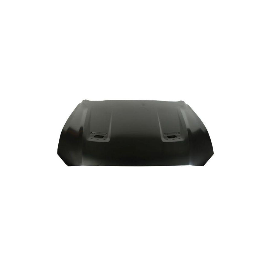 Blic 6803-00-2589280P Bonnet for Ford USA Mustang Mach-E