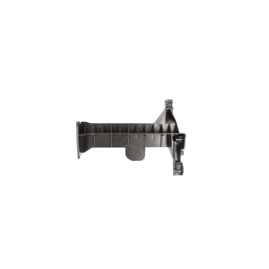 Blic 6601-01-0538801P Repair Panel for CITRO?N C4