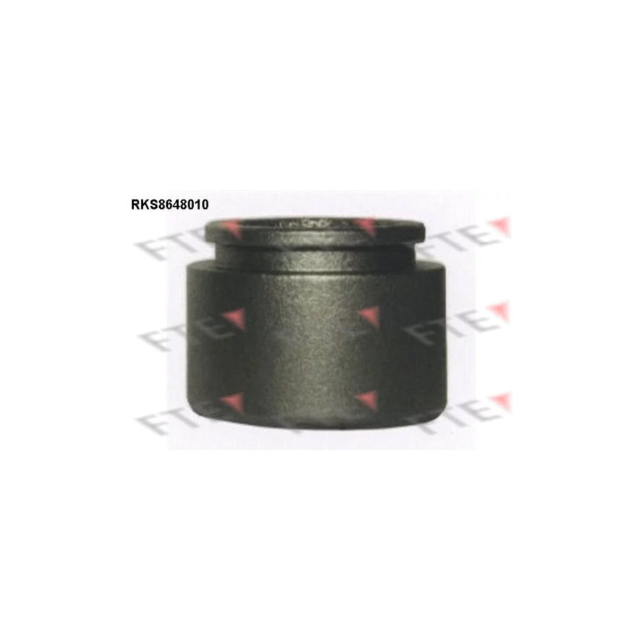 FTE 9313446 Piston, Brake Caliper