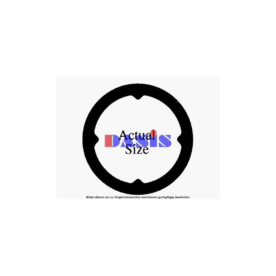 AKS Dasis 900379N Seal Ring