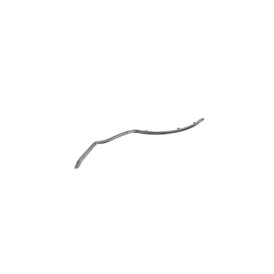 Genuine BMW 51767324749 F16 Seal, C-Pillar, Left (Inc. X6)