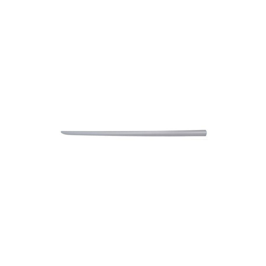 Blic 5703-04-2024576P Door Molding