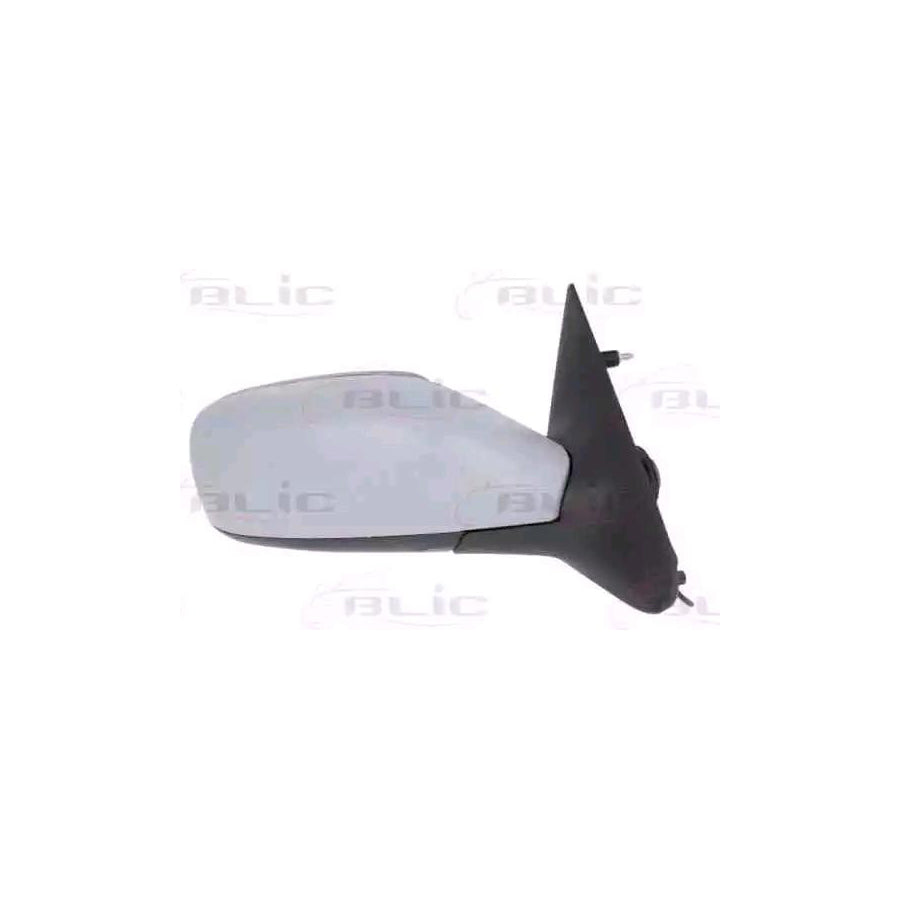 Blic 5402-09-2002168P Wing Mirror for Renault Laguna