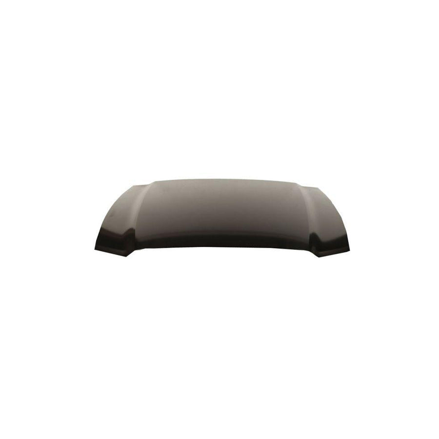 Blic 6803-00-2585282Aq Bonnet for Ford USA Mustang
