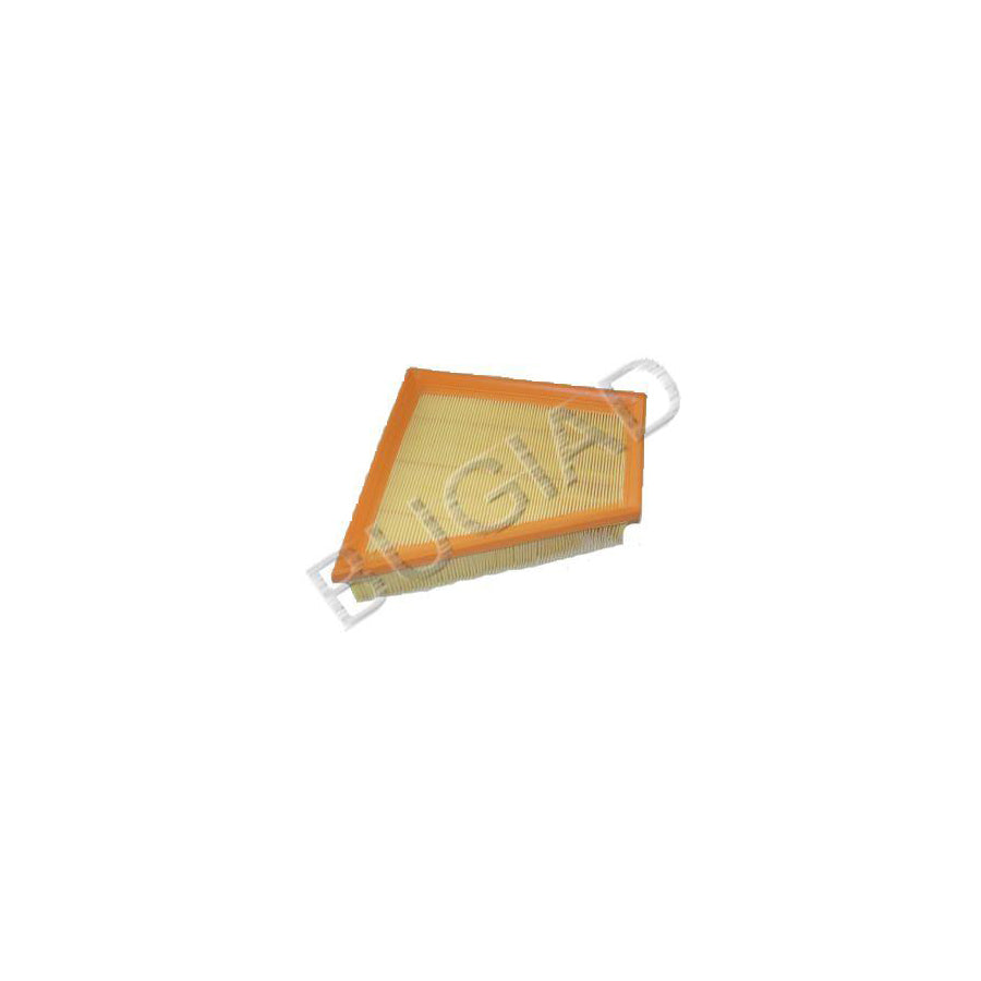 BUGIAD Bsp20668 Air Filter
