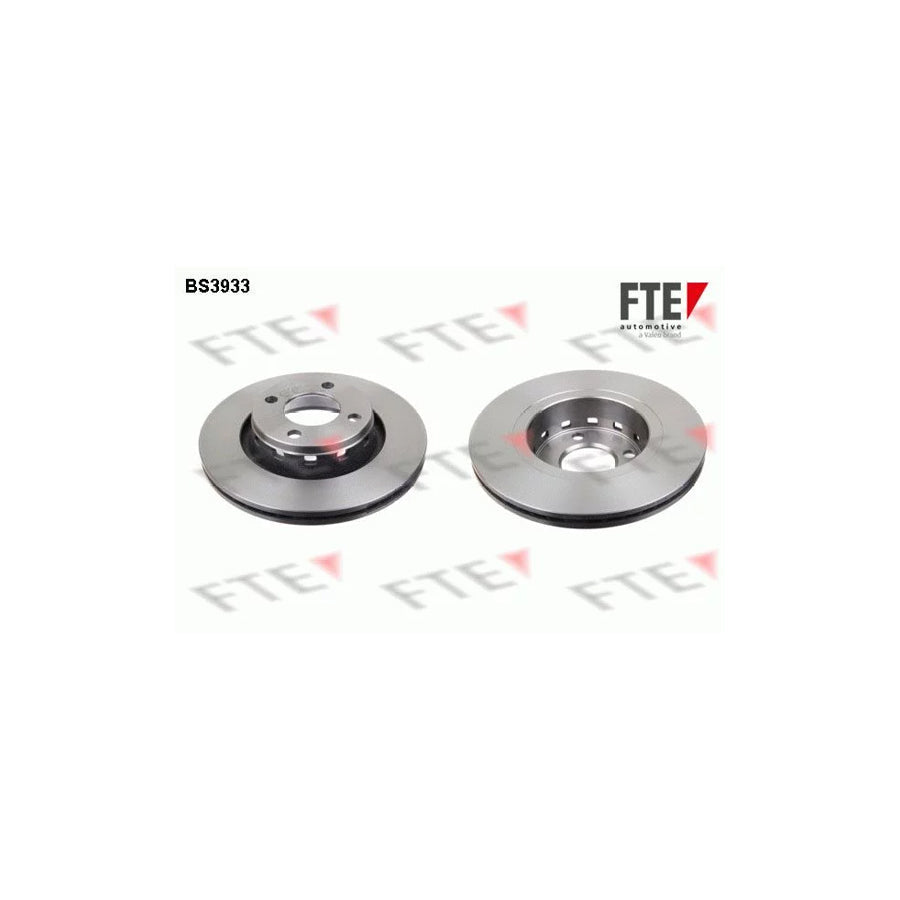 FTE Bs3933 Brake Disc