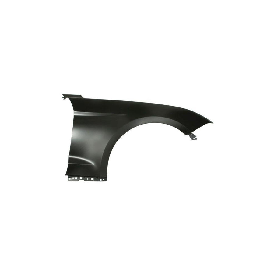 Blic 6504-04-2589314P Wing Fender for Ford USA Mustang Mach-E