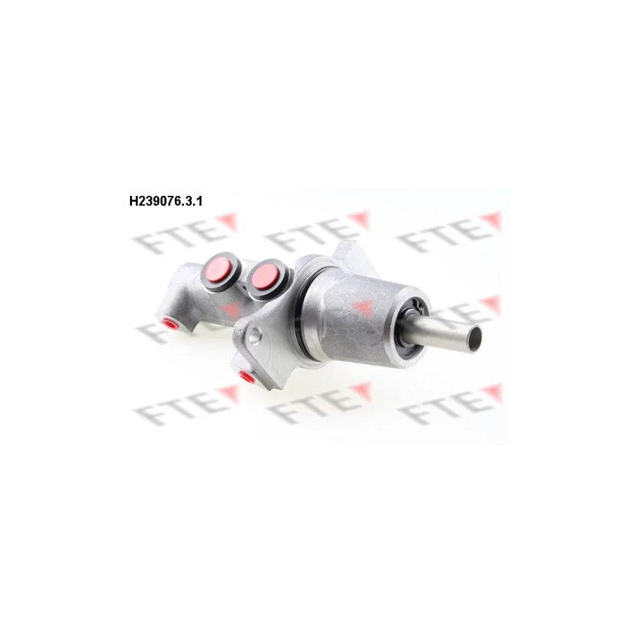 FTE H239076.3.1 Brake Master Cylinder for VW Lt