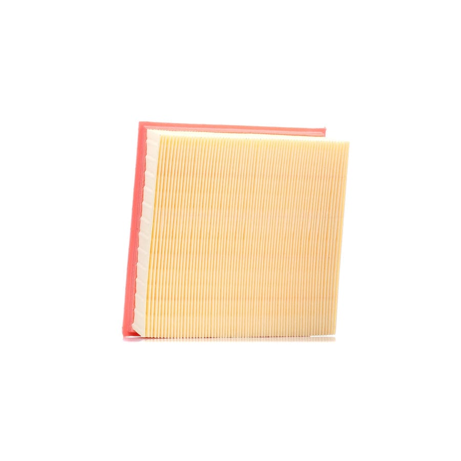 Ridex 8A0104 Air Filter