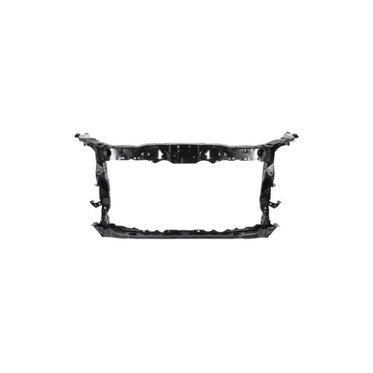 Blic 6502-08-2927201P Front Cowling for Honda Accord