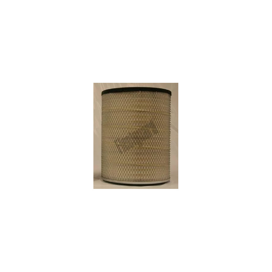 Fleetguard Af25435 Air Filter