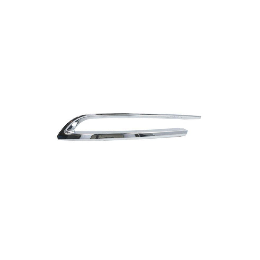 Blic 5513-00-0067974Pf Bumper Moulding for BMW 5 Series