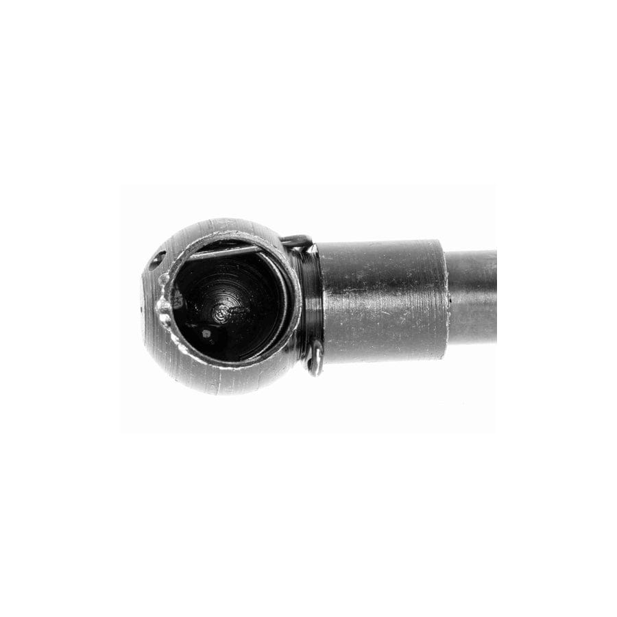 Ackoja A26-0082 Tailgate Strut For Honda Crx II Coupe (Ed, Ee)